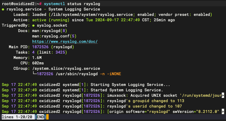 Graylog 裝置端設定：Linux
