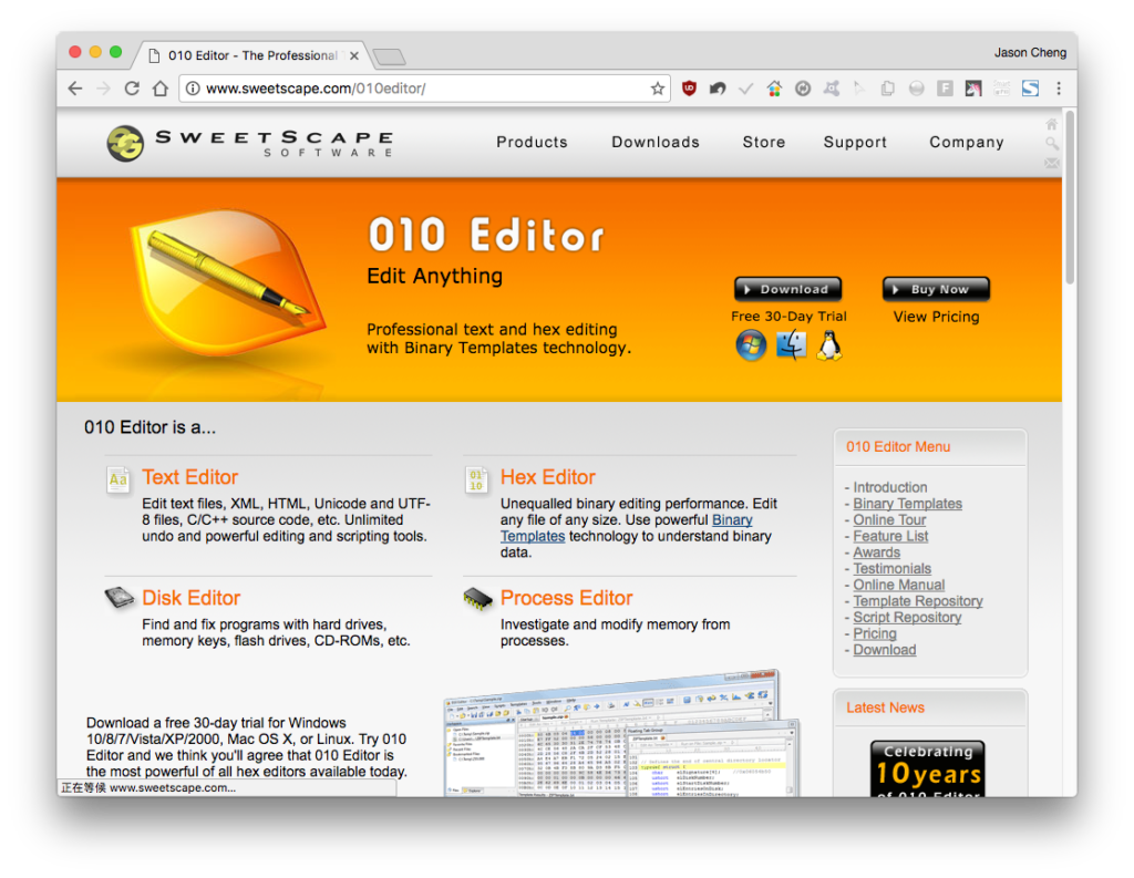 「010 Editor」