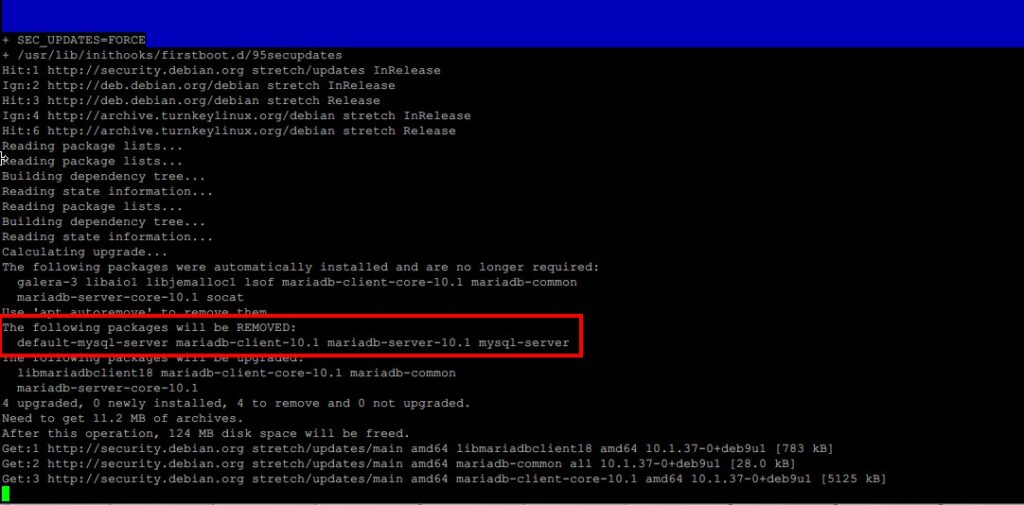 執行 TurnKeyLinux Security Patch